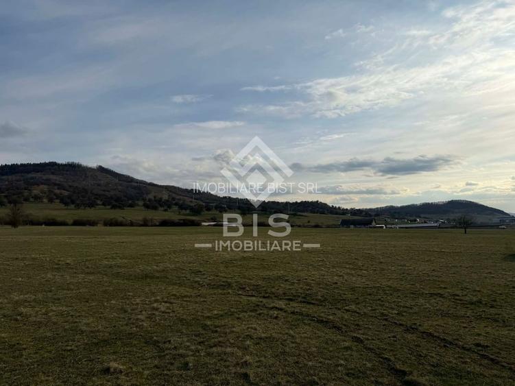 Teren de vanzare extravilan 1000mp - Aerodrom - 2