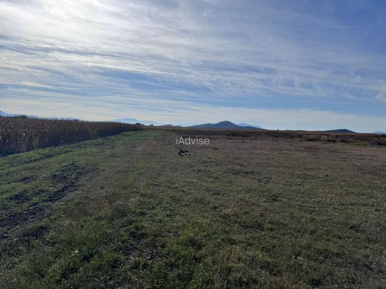 Teren de vanzare in Harman 4,4 Hectare - 8