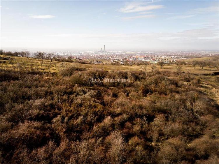 RECO Teren intravilan in zona Oncea - 8