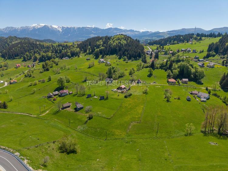 Fundata | Teren de vanzare | 7,656 mp + Cabane tip A Frame - 16