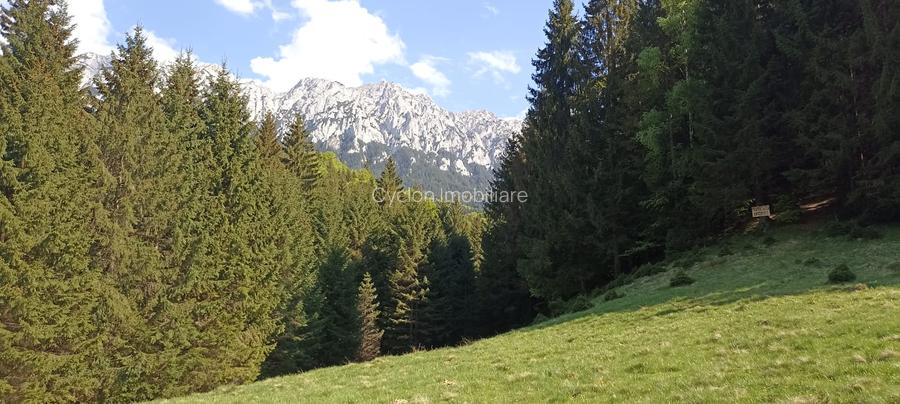 Casa de vacanta sau pensiune situata langa Cabana Trei Brazi Predeal - 56