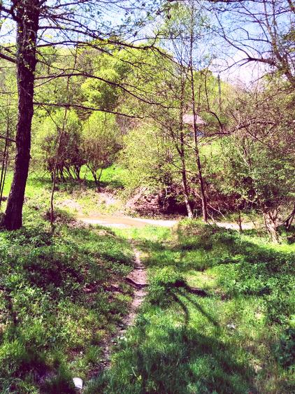 Teren de vis la munte – 7.795 mp – construibil – pârâu, pădure, fără vecini - 2