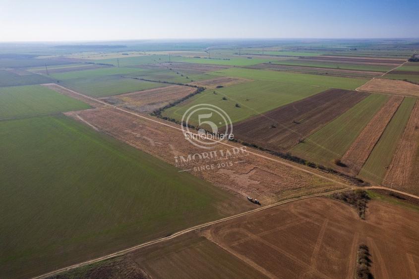 Ocazie- Teren Intravilan de Vanzare- Peris Snagov- Doar 10 euro/mp - 19