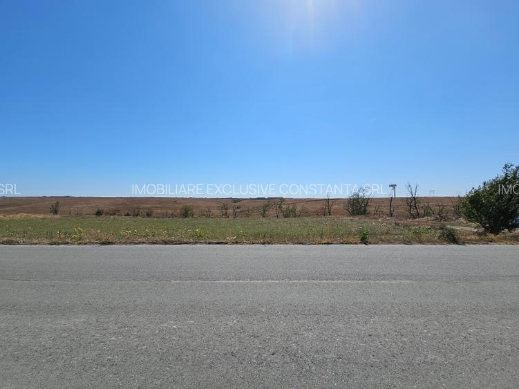 Teren Extravilan 10000 Mp Sibioara Constanta - 3