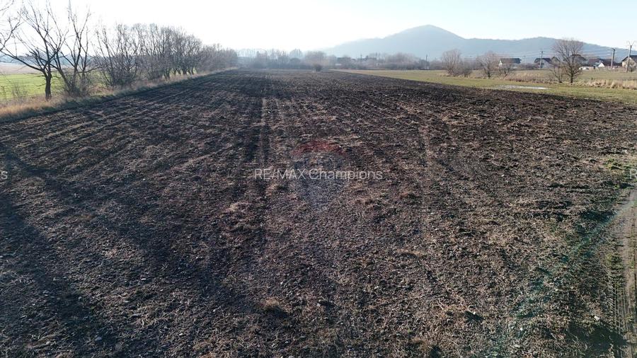 Teren extravilan cu potențial ridicat | Hărman, zonă de case - 9