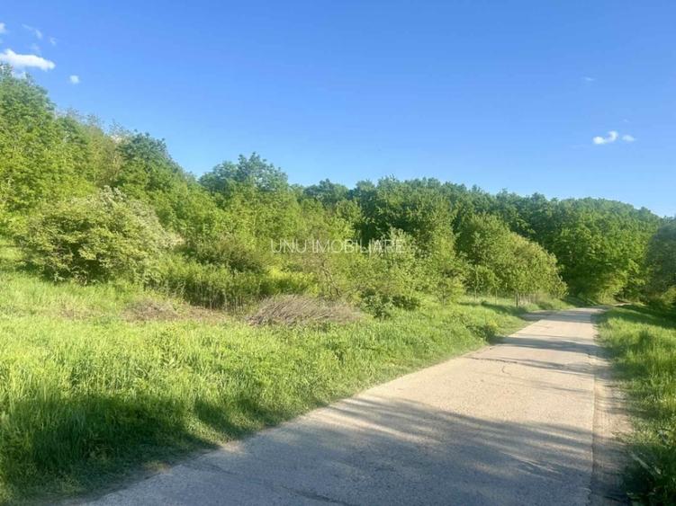 Teren 1000-2000mp intravilan in Gradina Botanica Iasi, 200€/mp, utilitati - 5