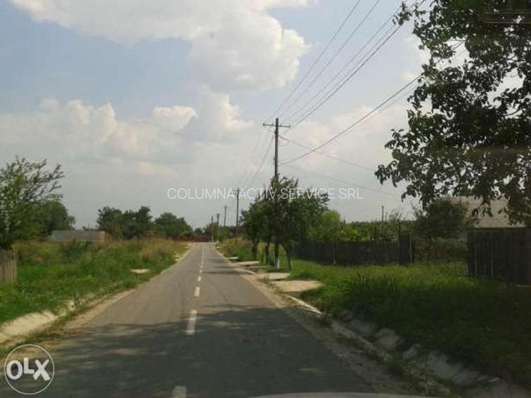 Gradistea 1250mp 25e/mp - 5