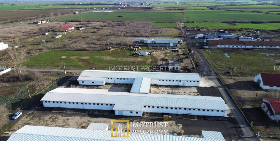 HALA INDUSTRIALA DE VANZARE | PECICA – ARAD - 3