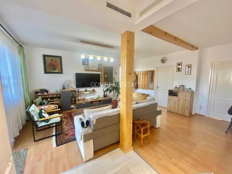 2 Case in regim P+M cu 9 camere, 3 băi, teren 1811mp, front 30m, Paleu - 16