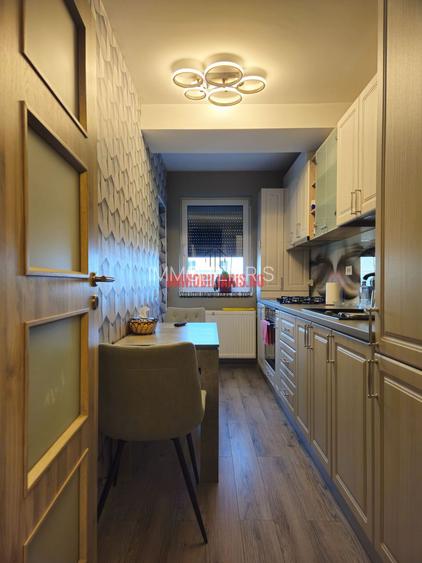 Theodor Pallady, Mobilat și Utilat Lux, Decomandat - 10