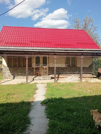vand proprietate (casa+ teren) - 2