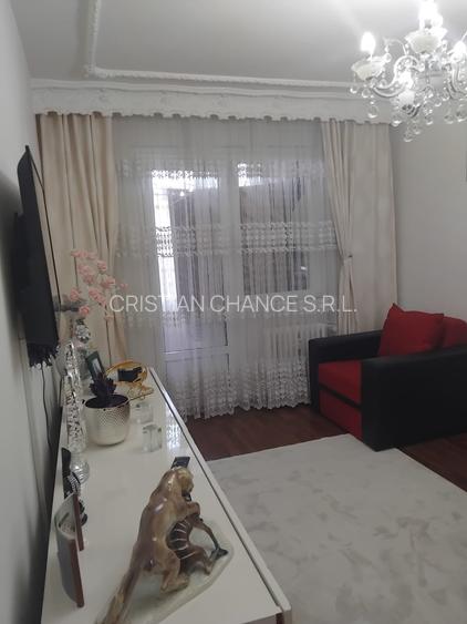 38741  Apartament 3 camere Sat Vacanta - 2