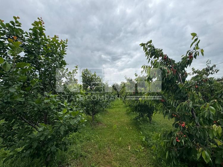 CASA DE VANZARE | INCHIRIERE | DUMBRAVENI | SUCEAVA - 28