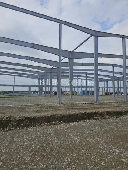 Hala de vanzare Balotesti - 2