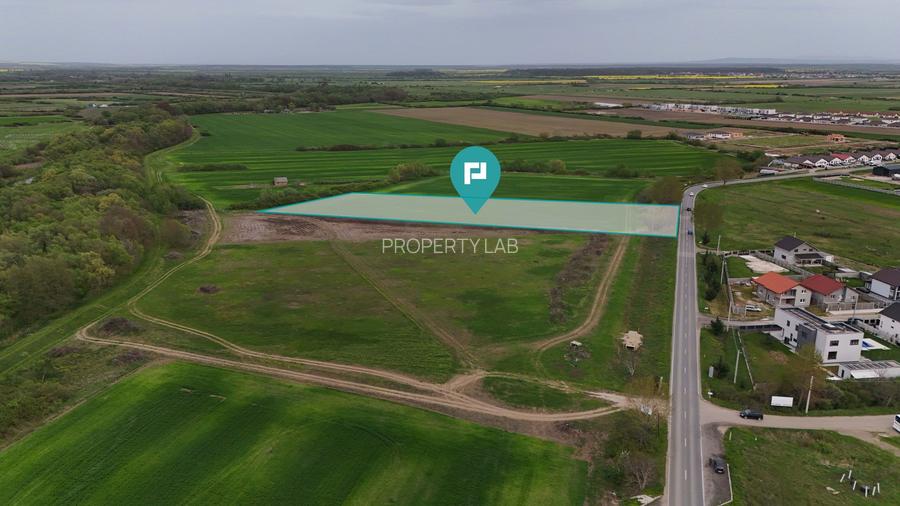 Teren intravilan 5800 mp în Remetea Mare - 4