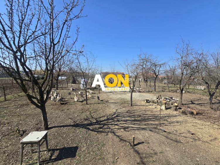 Casa 3 Camere Sat Ciugud, 1500mp Teren - 3