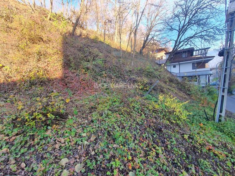 ZONA DEOSEBITA CU MULTA VERDEATA - 7