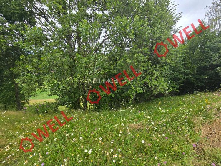 De vânzare teren extravilan loc. Sărămaș! - 5