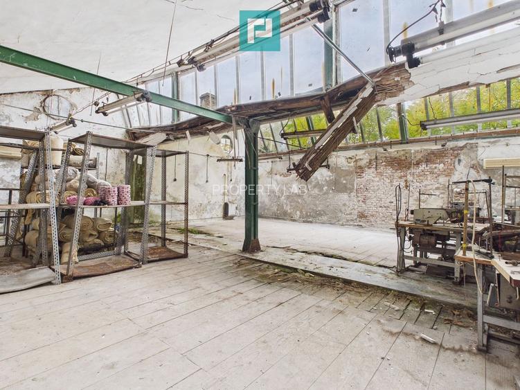 Spațiu de investiții 500 mp în Periam - 8