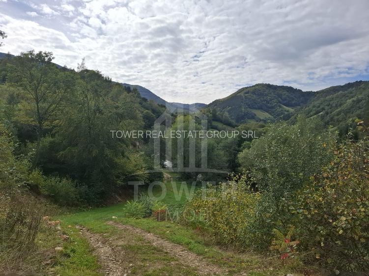 Teren Intravilan de Vânzare – 3622 mp – Râu Sadului - 4