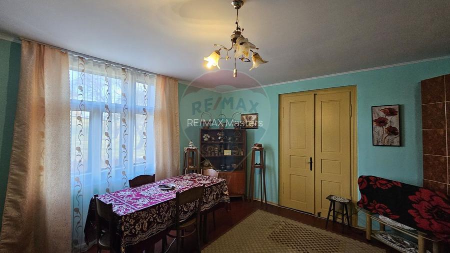 Casă / Vilă cu 3 camere de vânzare-Cacica-Suceava - 55