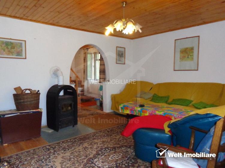 1.6 ha de padure cu poienita, parau la limita curtii, cabana pentru trei familii - 11