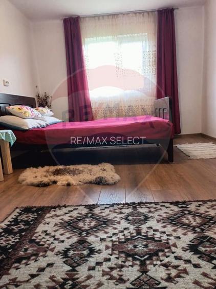 Vânzare casa la munte - zona turistica - Baia de Fier - 7