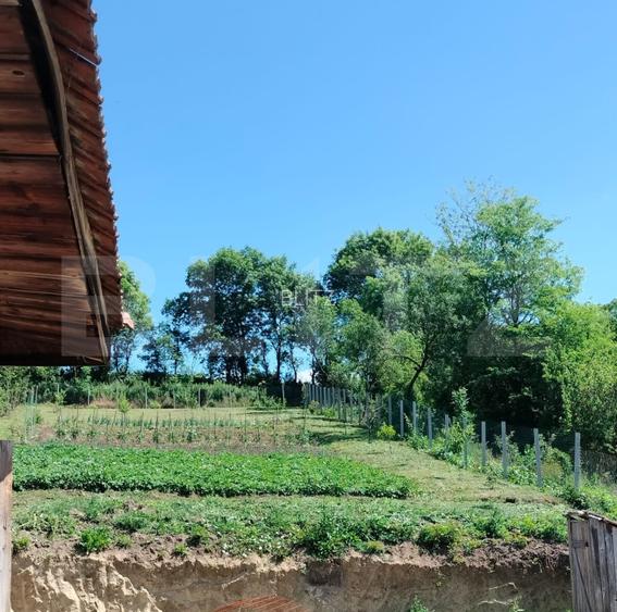 Casa renovabila, 1508 mp teren, Vultureni - 12