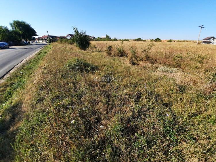 Teren intravilan 33.496 mp, Com. Bradu (fosta Com. Albota), Arges - 4