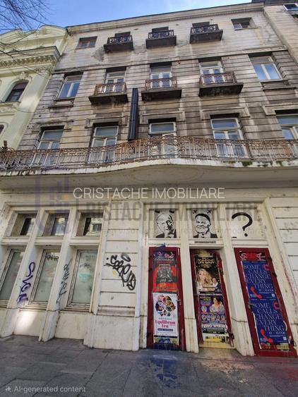 Spatiu comercial stradal Regina Elisabeta - 4