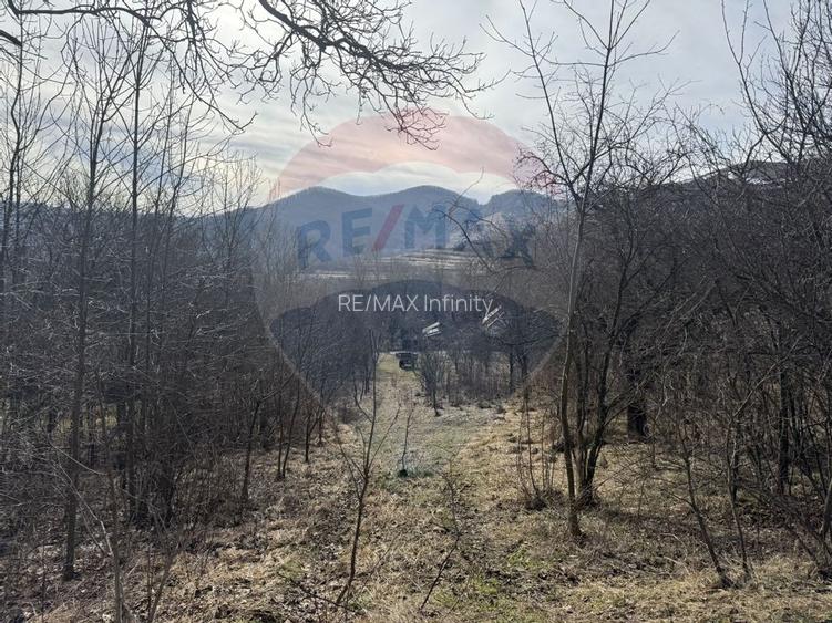 Teren intravilan 1.271 mp – Izvoarele, jud. Alba - 16