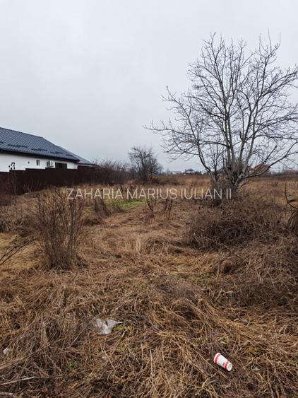 Teren pentru investitii in Izvoare - 3