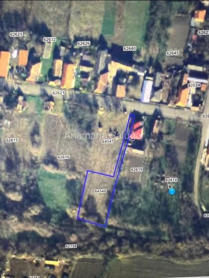 Vand teren intravilan sat Borsa, jud. Cluj, zona linistita - 4