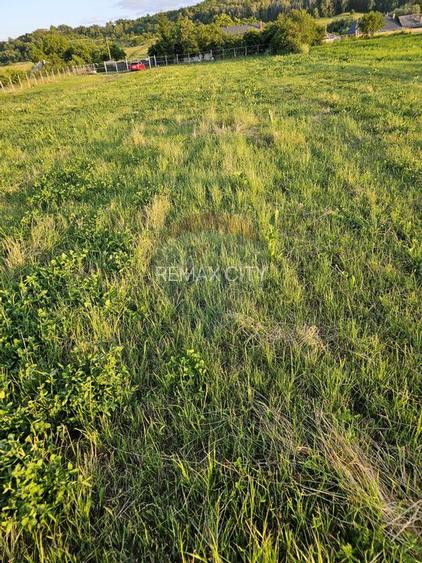 Teren 1,495mp Dobreni / Strada Parau Almas - 32