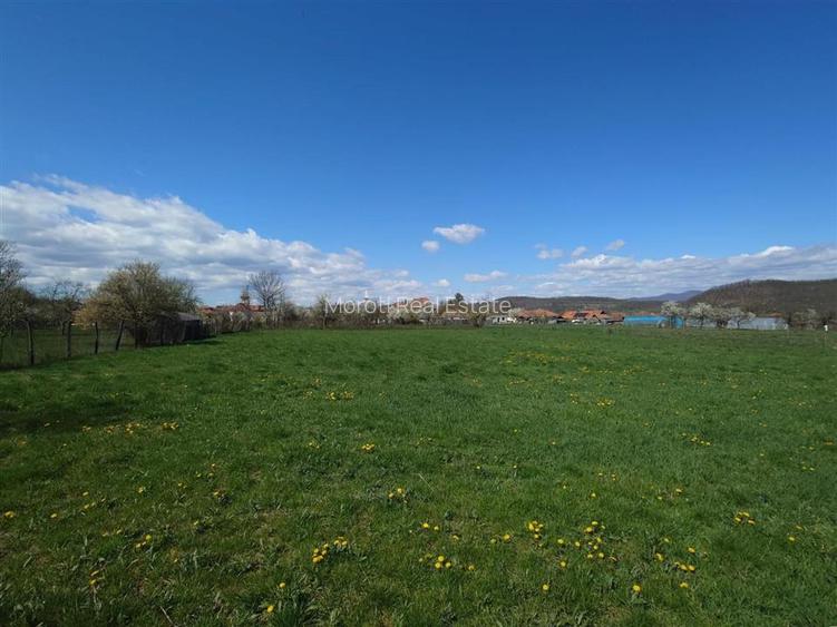 Casa si teren Baia de Cris - 17