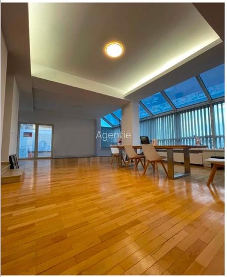 Bd Unirii apartament/birou  spatios  (110 mp+ terasa de 38mp) - 10