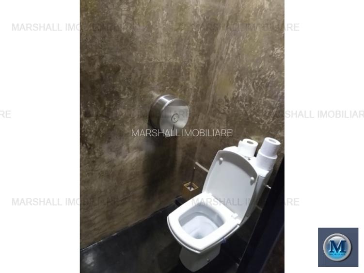 Spatiu comercial de inchiriat, zona Ultracentral, 442 mp #9815 - 9