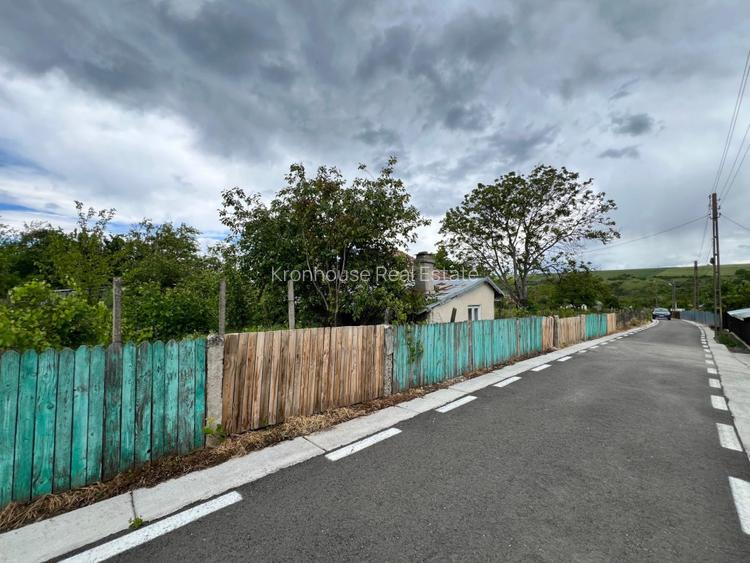 Casa + teren 4430 mp, vie si pomi fructiferi, 22 km de Tecuci - 4