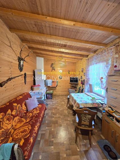 De vanare - Casa Dragomiresti Vale - 20