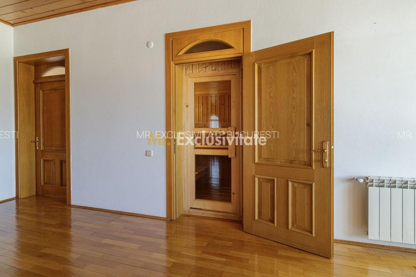 Domeniu privat 5.000 mp, cu reședință de 625 mp și piscină, Corbeanca - 16