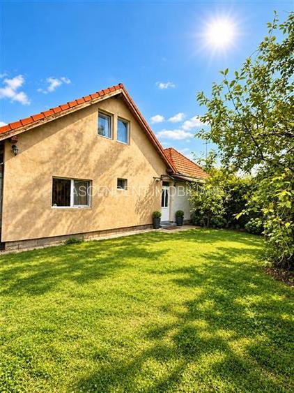 Casa 4 camere,farmec autentic,echipata, mansarda,curte relaxanta,Santana de Mure - 24