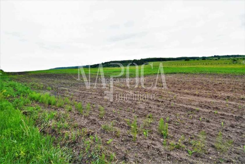 Teren extravilan pentru constructii de vanzare in Popesti - 5