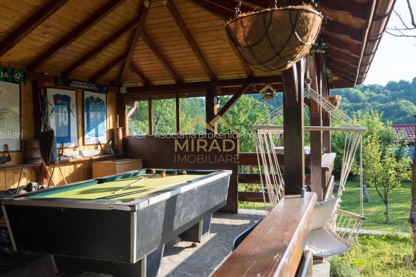 Vanzari Case / vile - 18