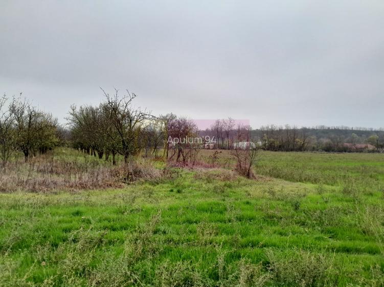 BARCANESTI -  casa +curte+teren 16k mp - 12