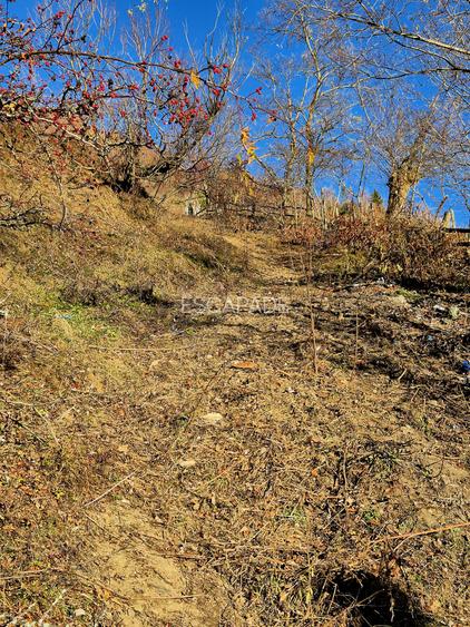 Teren de vânzare în sat Măgura/ Brasov– loc pentru familie, liniște și suflet - 24