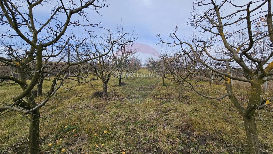 Teren extravilan 10,791mp Falticeni / Strada DJ209A, Opriseni - 14