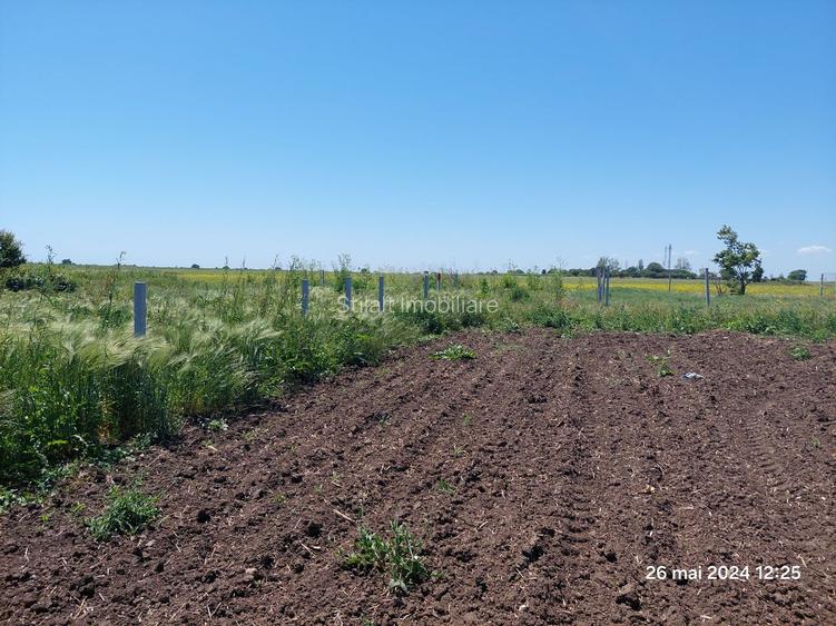 Teren  intravilan  540 mp / Vama Veche - 11