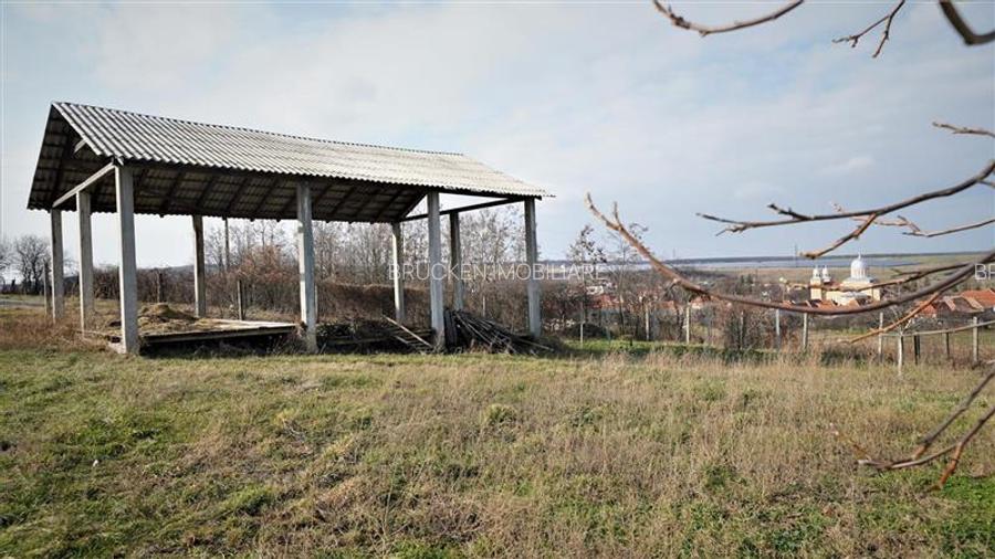 MICRO-FERMA + CASA IN VOIVOZI - BIHOR - 12