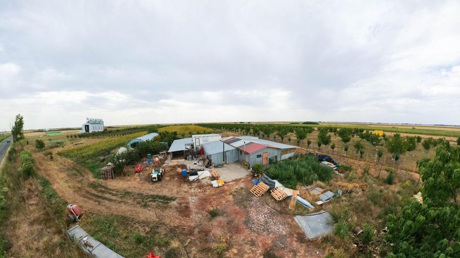 Livadă de 3,6 hectare în Iratoșu – Oportunitate