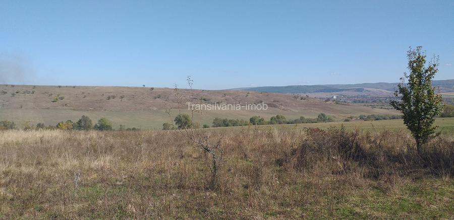 Teren Apata 0.8 euro/mp pretabil investitie - 6